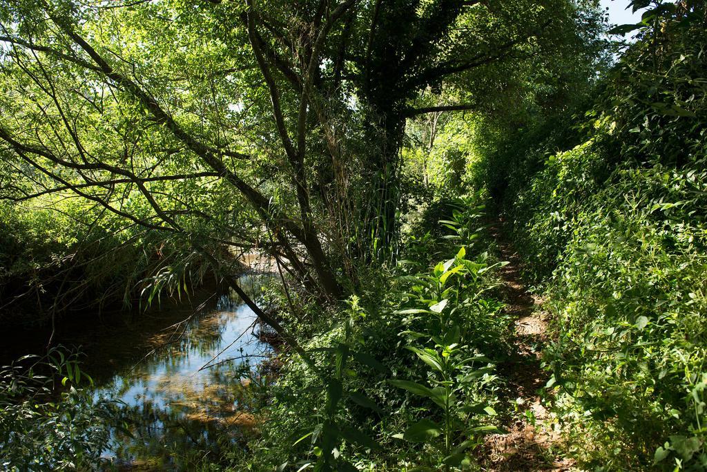 مونشيك Recanto Da Ribeira Casas De Campo المظهر الخارجي الصورة
